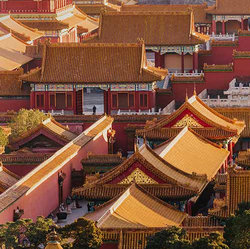 The Forbidden City (The Palace Museum)