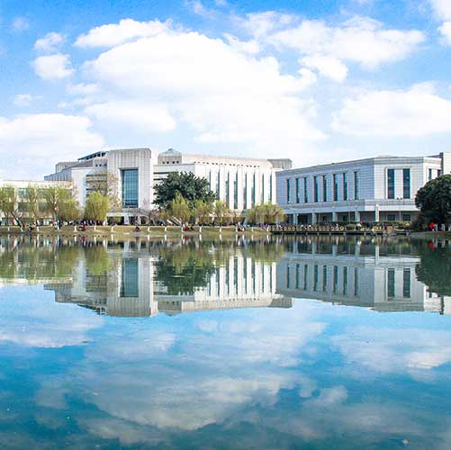 University of Electronic Science and Technology of China