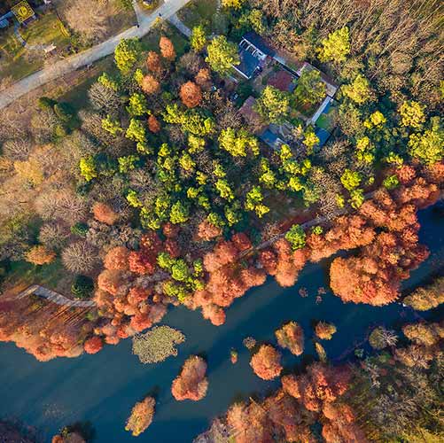 Zijin Mountain National Forest Park